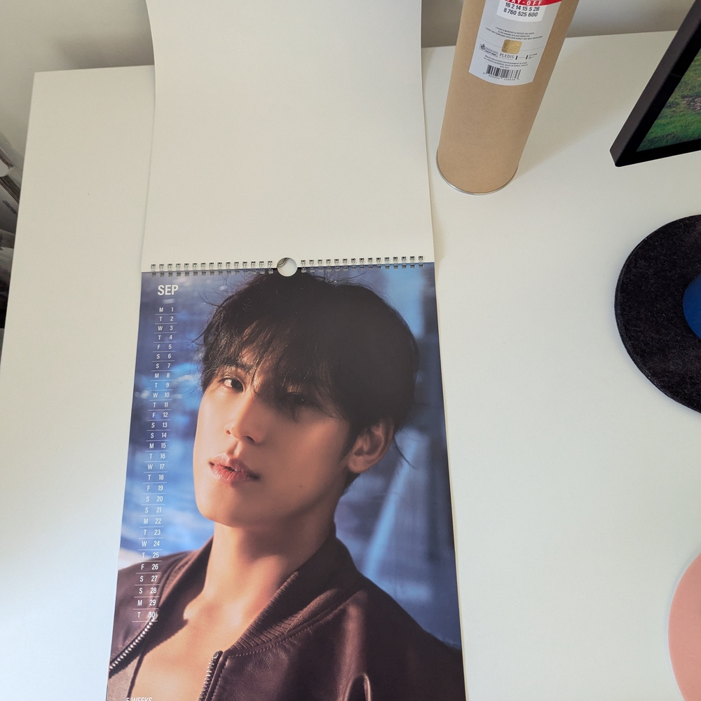 SEVENTEEN 2025 SEASON'S GREETINGS WALL CALENDAR POSTER MINGYU